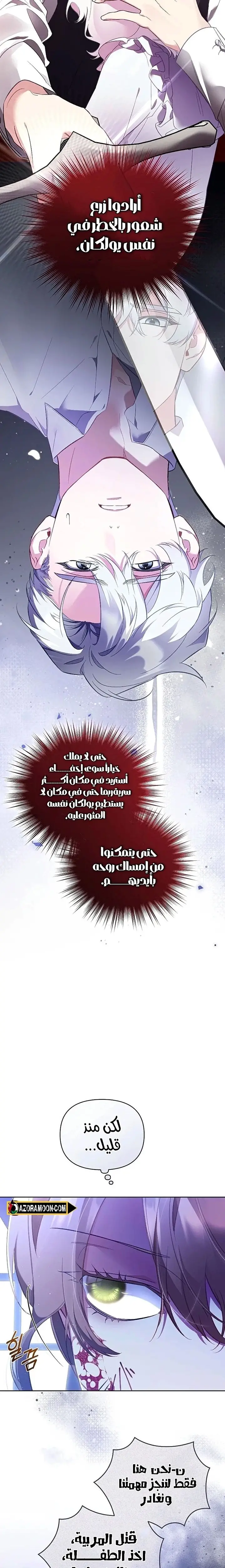 الصفحة 24