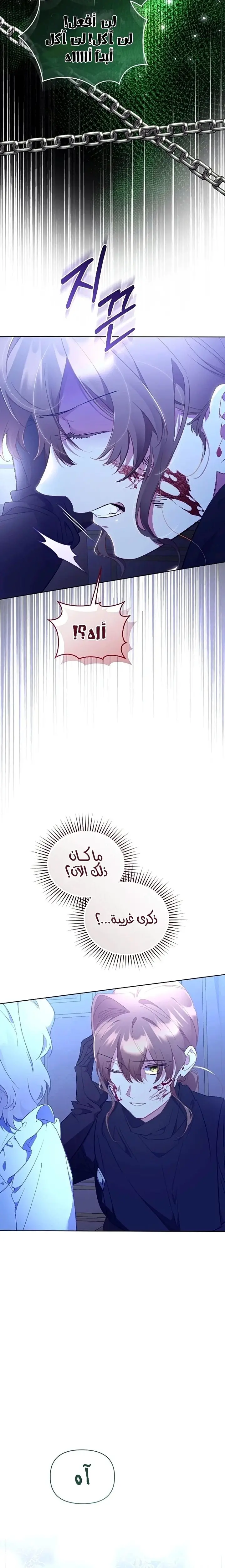 الصفحة 27