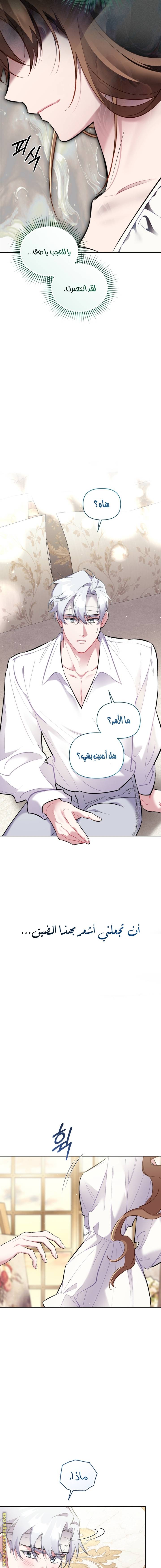 الصفحة 15