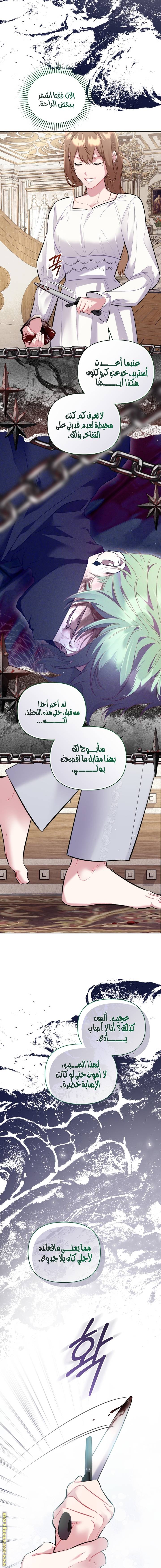 الصفحة 19
