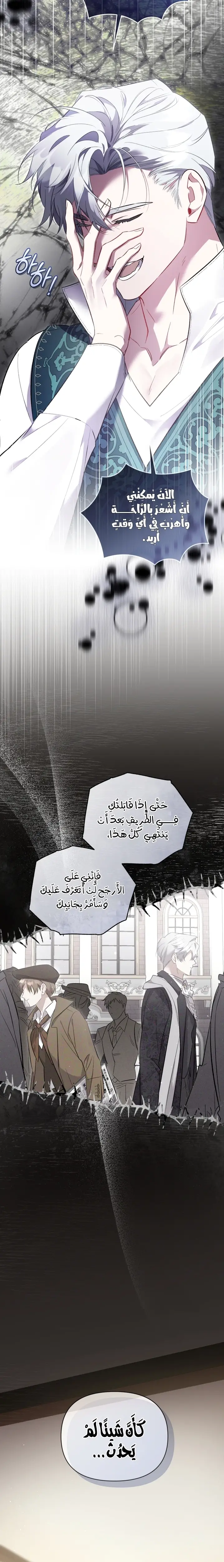 الصفحة 13