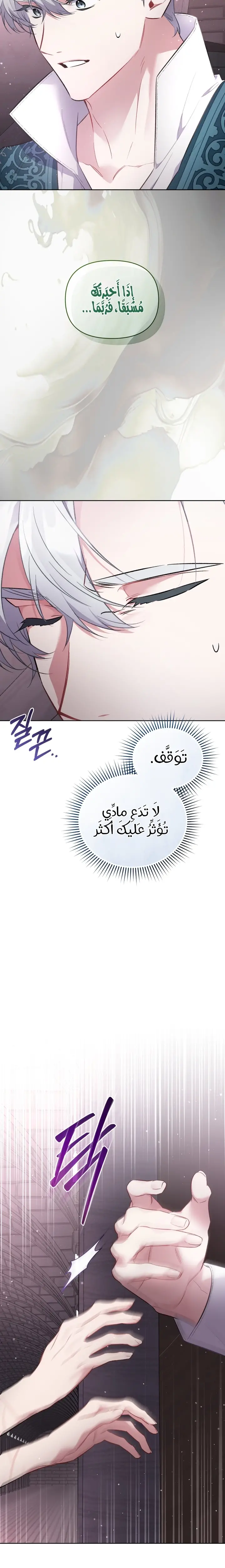الصفحة 21