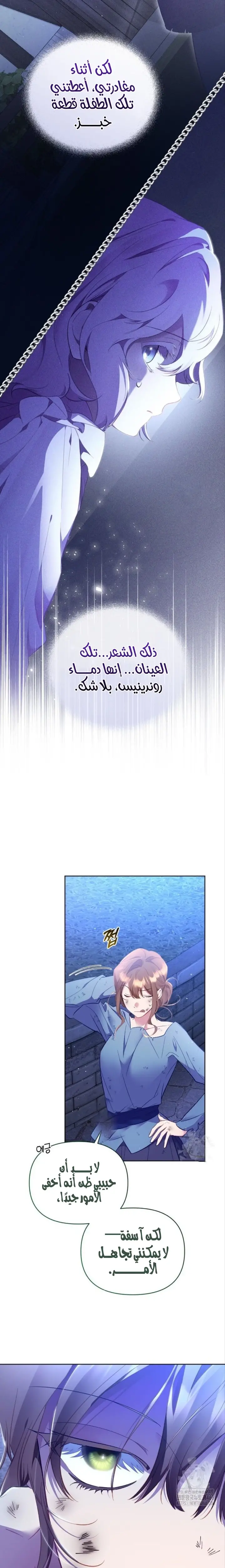 الصفحة 24