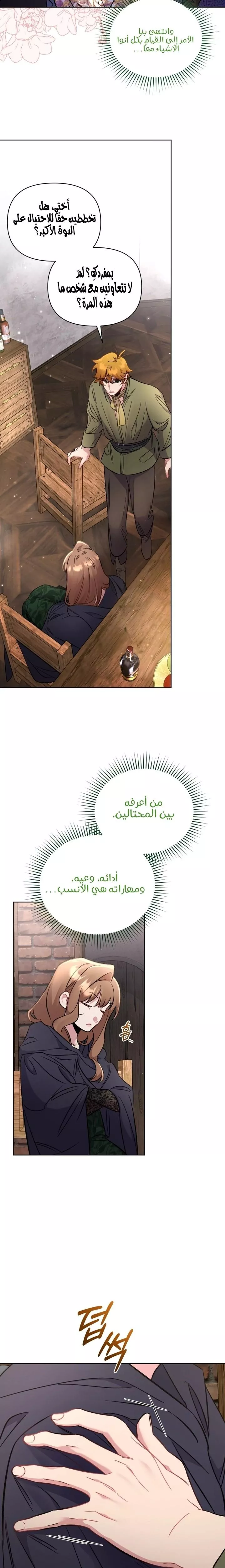 الصفحة 17