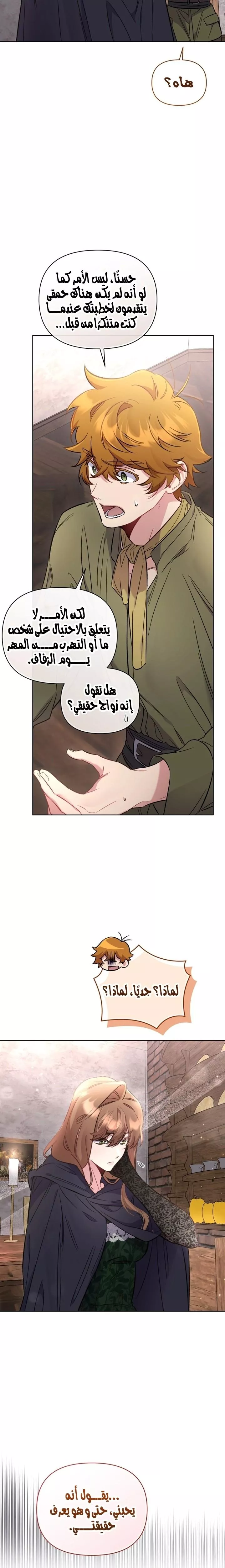 الصفحة 20