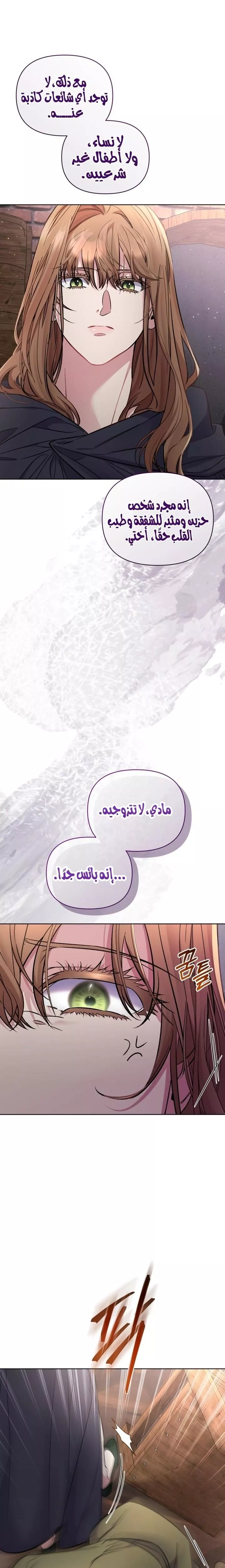 الصفحة 24