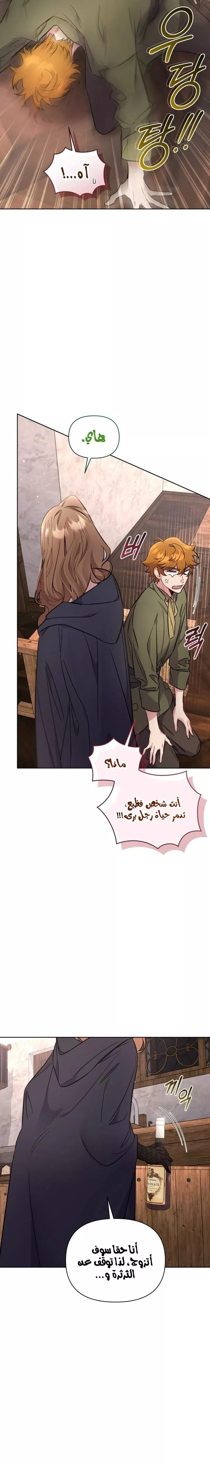 الصفحة 25