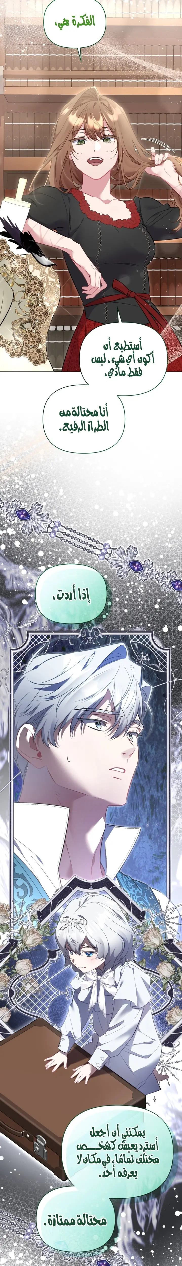 الصفحة 17