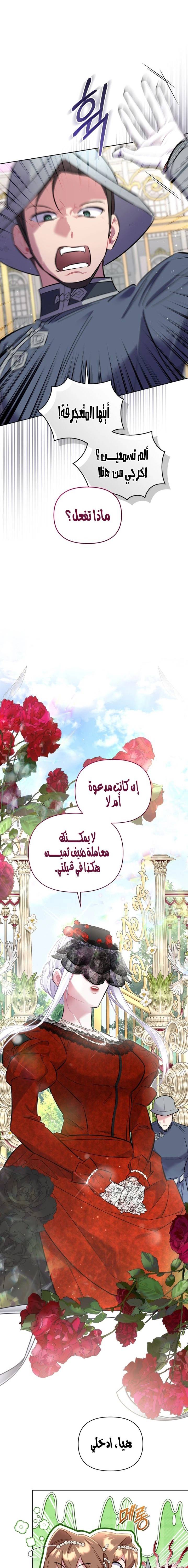 الصفحة 13