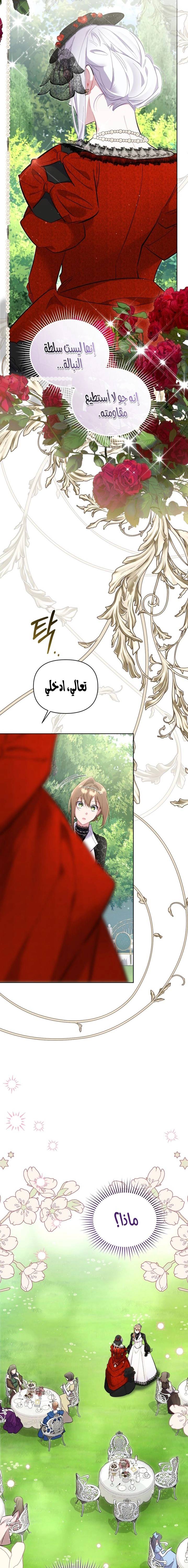 الصفحة 17