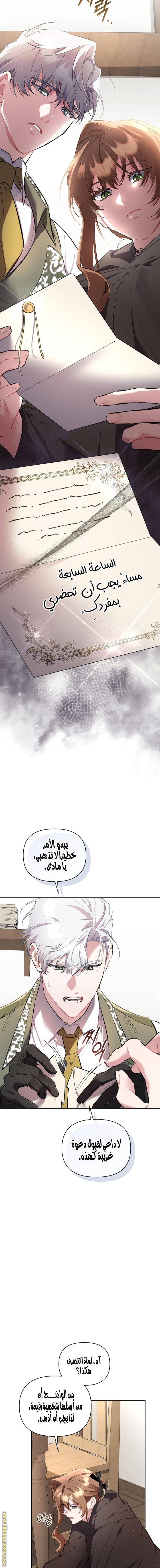 الصفحة 13