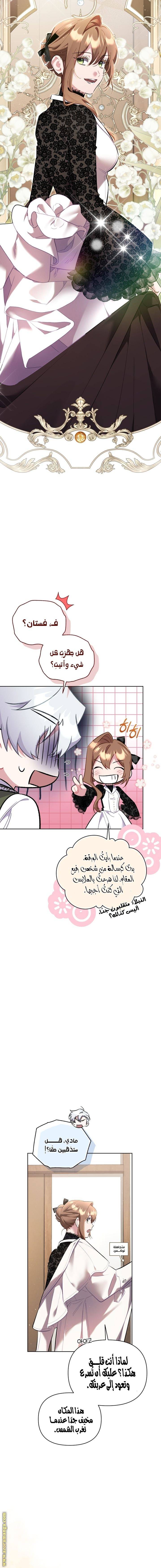 الصفحة 17