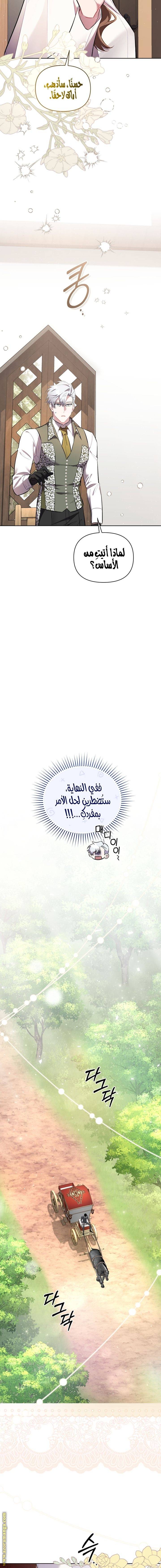 الصفحة 19