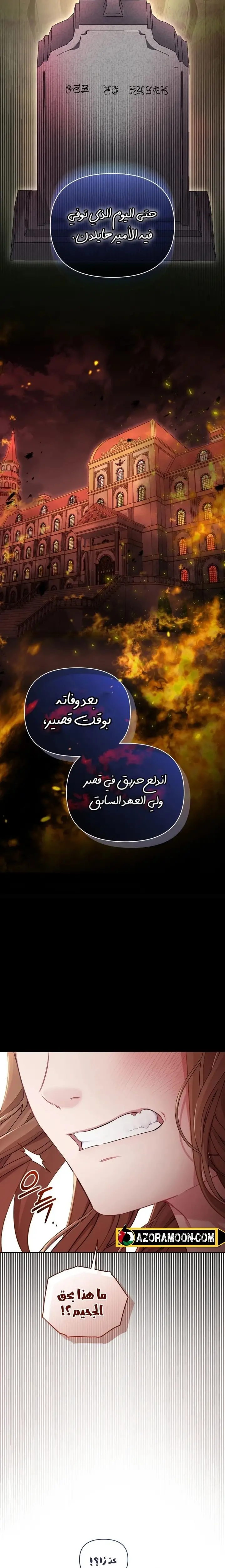 الصفحة 18