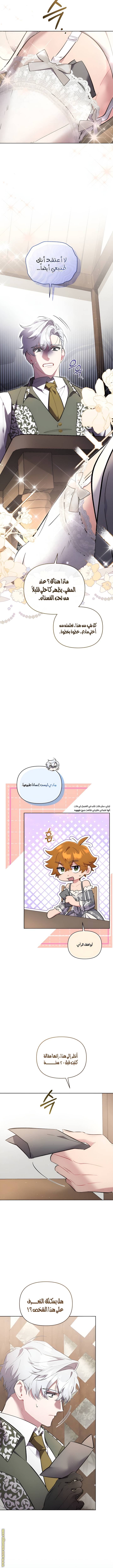 الصفحة 14