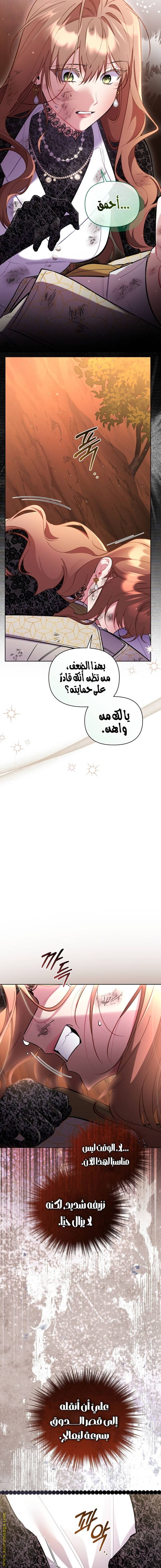 الصفحة 10