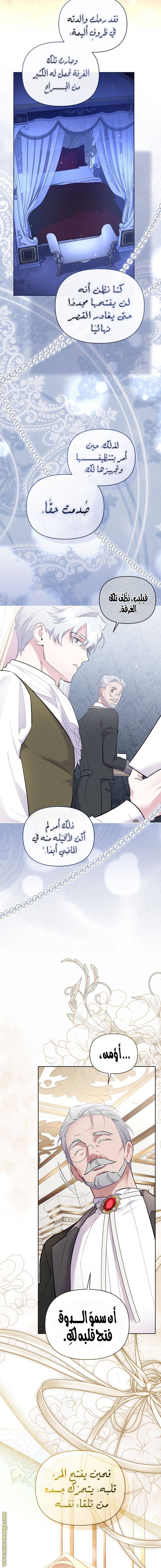 الصفحة 17