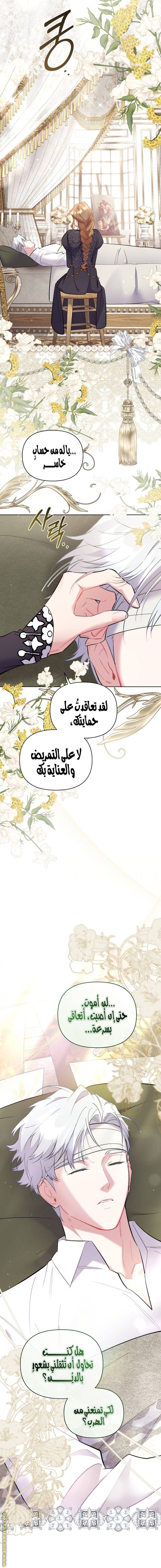 الصفحة 19