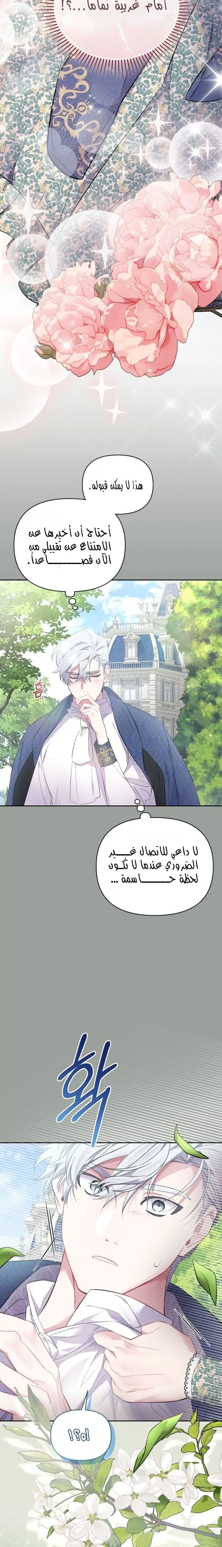 الصفحة 11