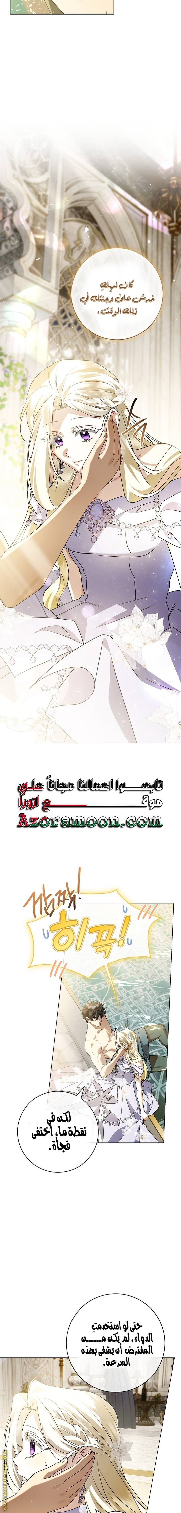 الصفحة 17