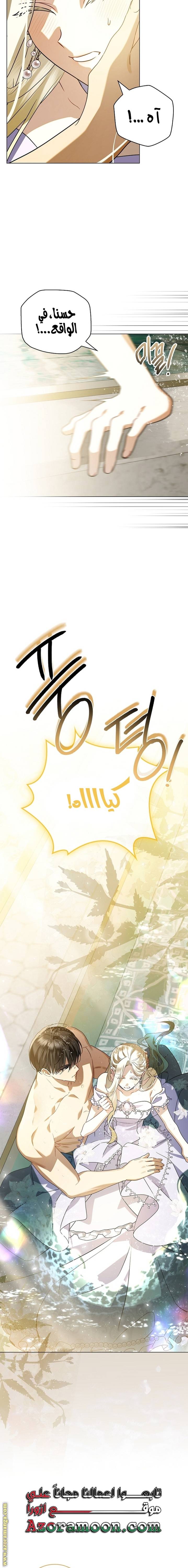 الصفحة 19