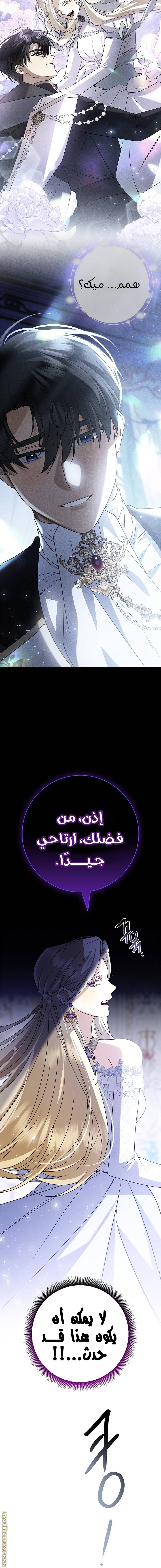 الصفحة 18