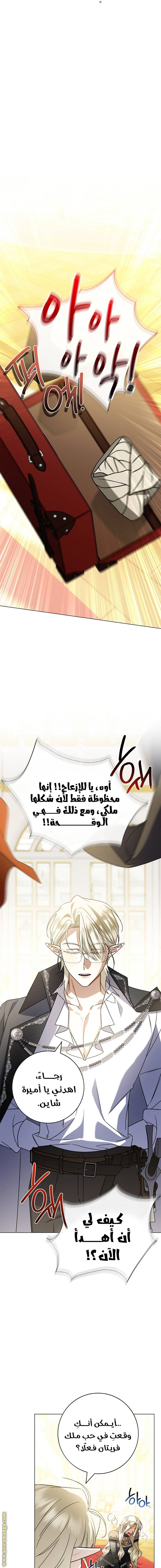 الصفحة 19