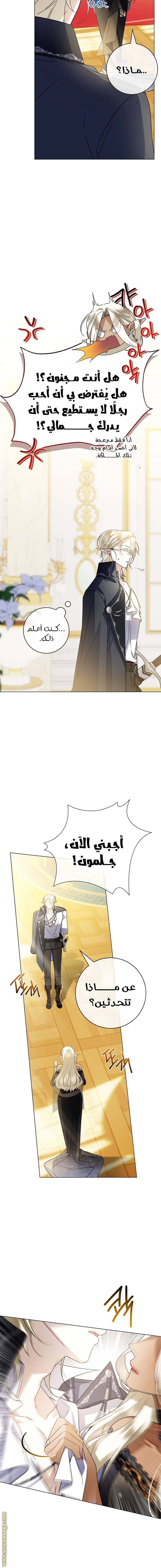 الصفحة 20