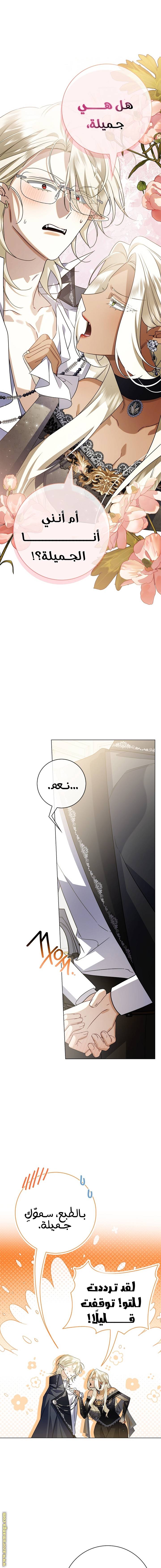 الصفحة 21