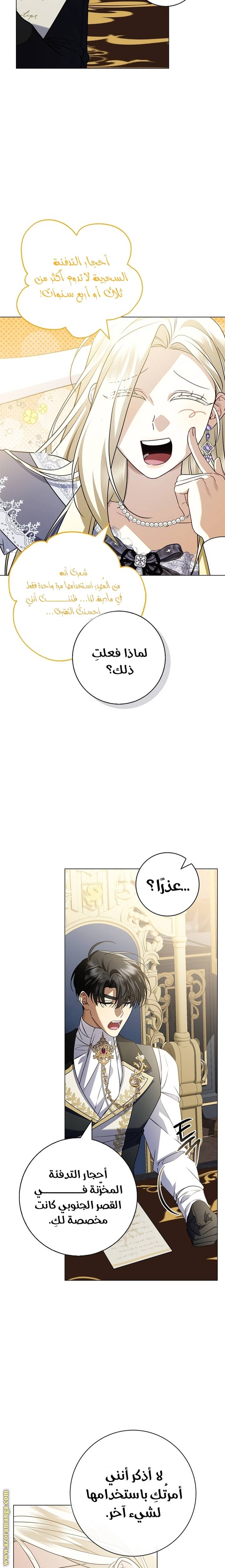 الصفحة 13