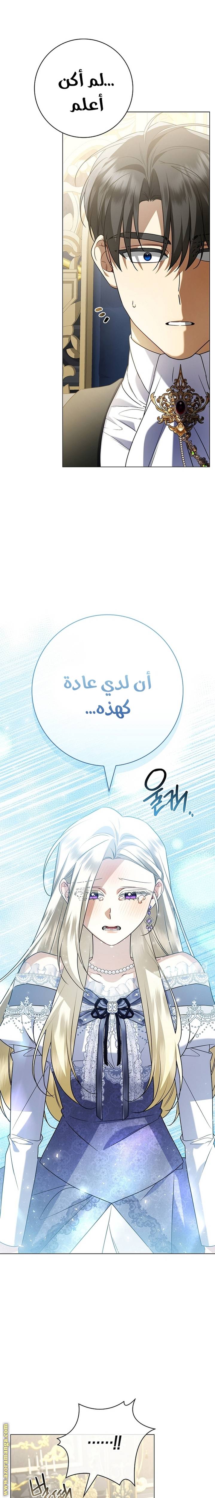 الصفحة 18
