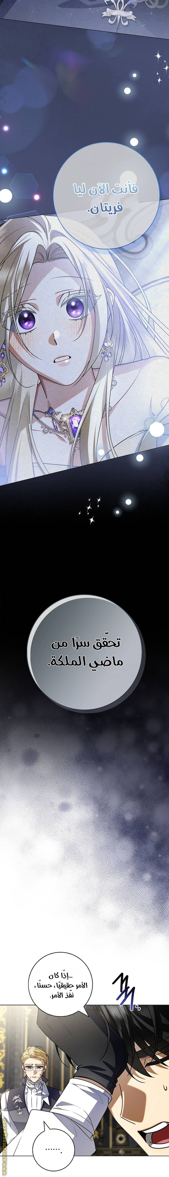 الصفحة 24