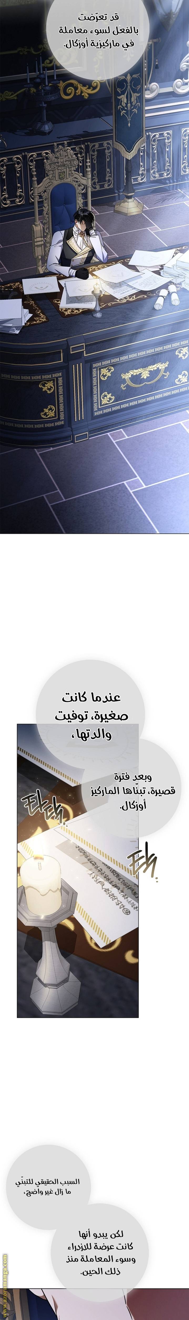 الصفحة 26