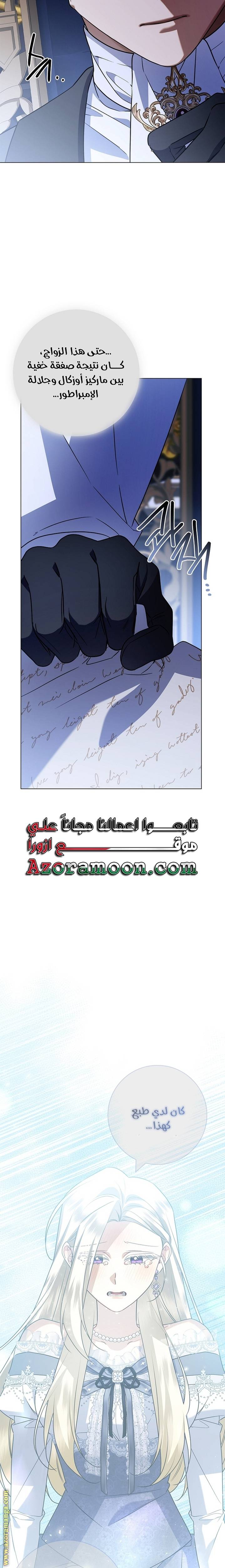 الصفحة 27