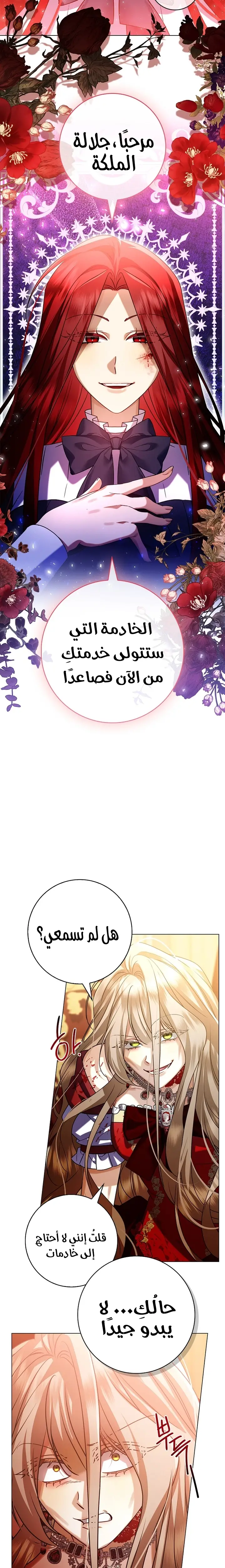 الصفحة 17