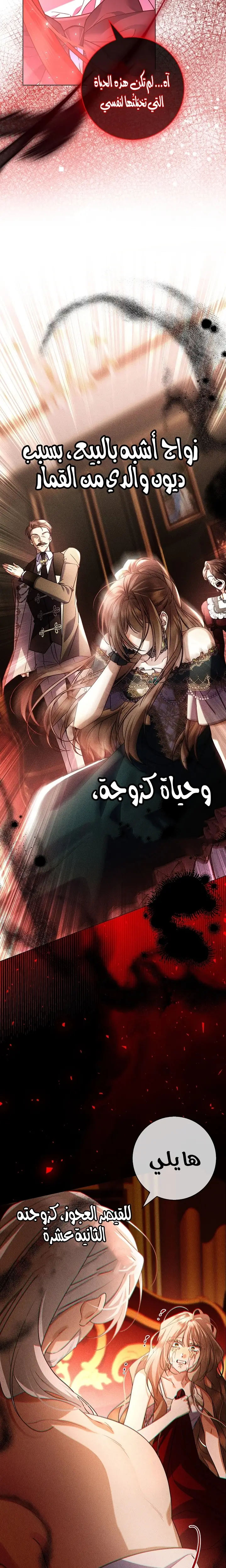 الصفحة 19