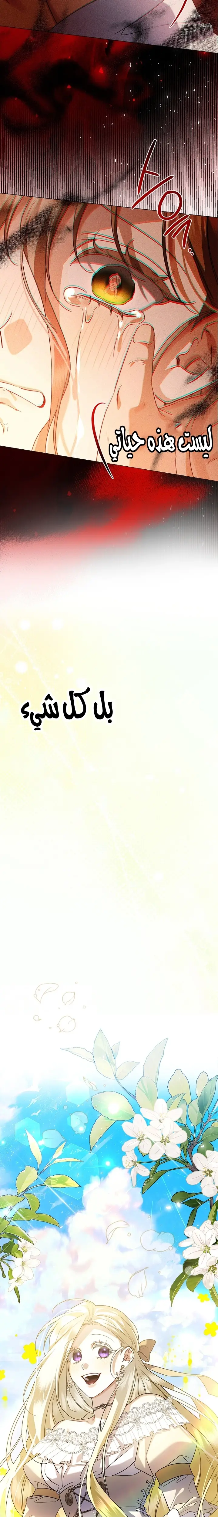 الصفحة 20