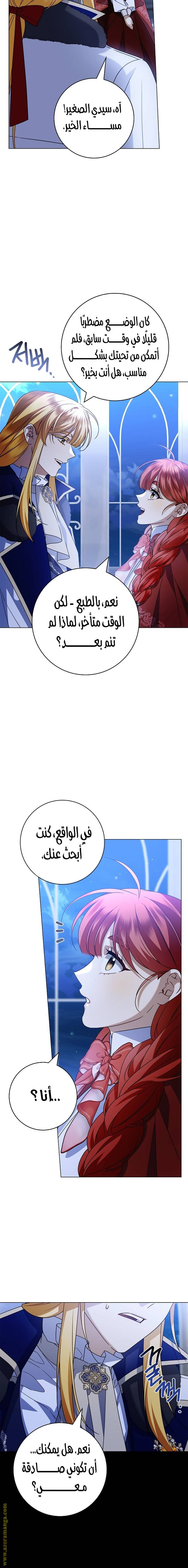 الصفحة 19