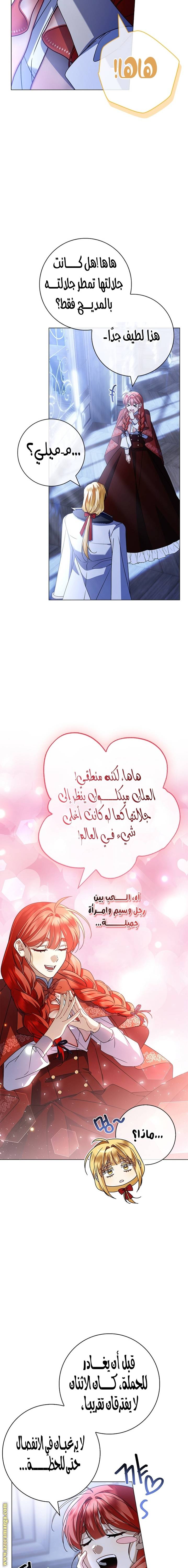 الصفحة 21