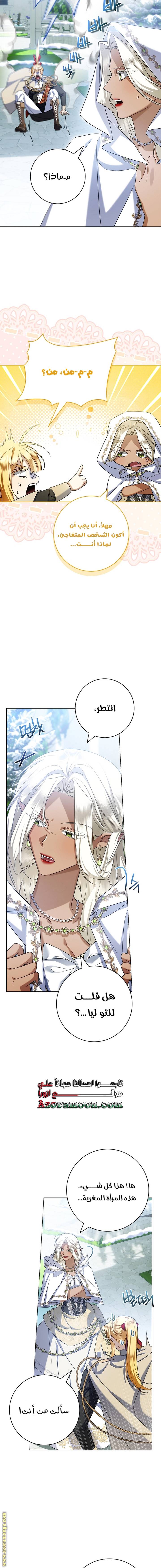 الصفحة 17