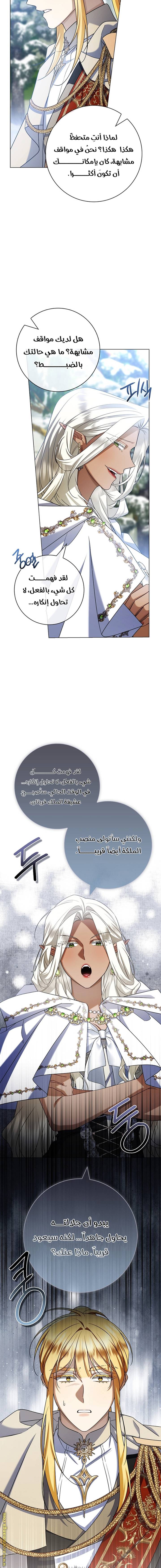 الصفحة 19