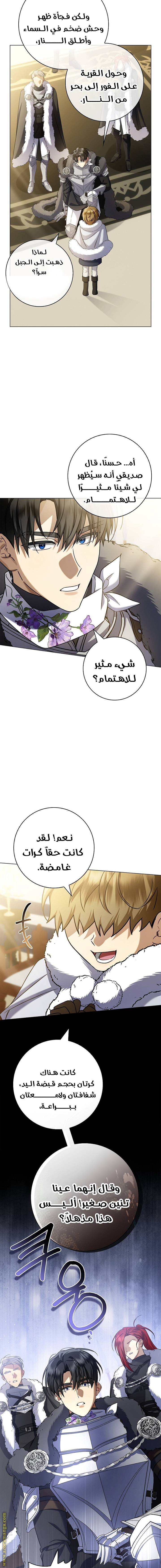 الصفحة 11
