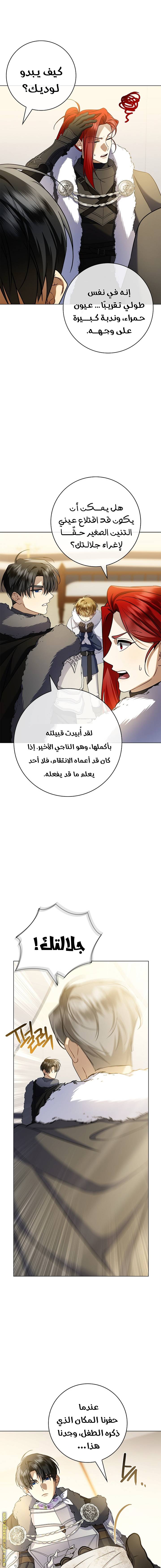 الصفحة 15