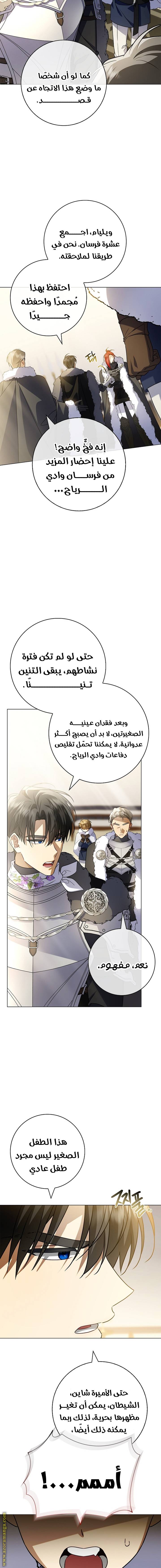 الصفحة 17