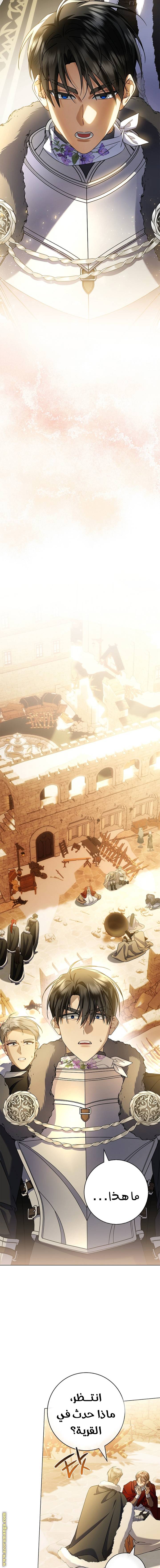 الصفحة 20