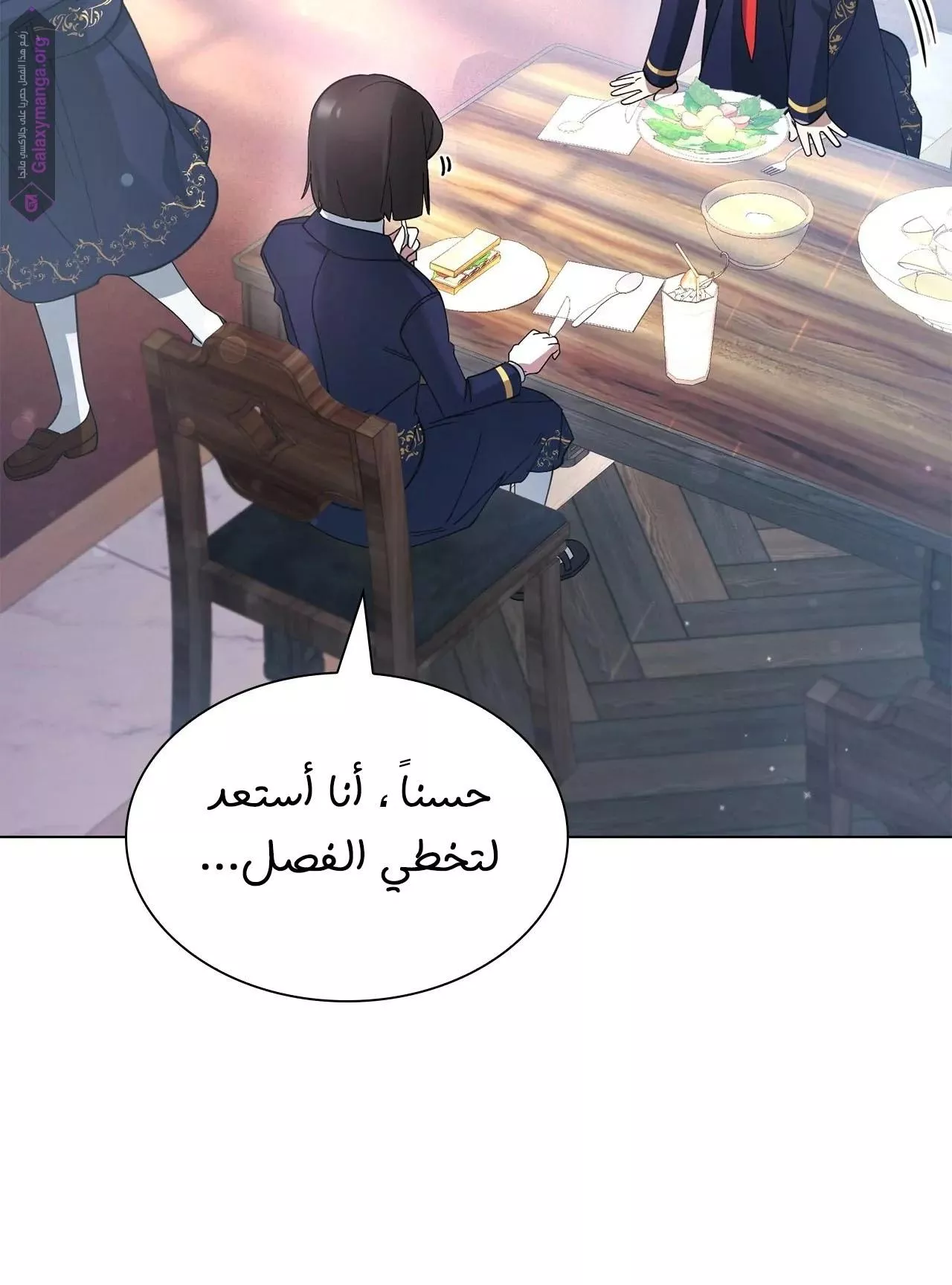 الصفحة 46