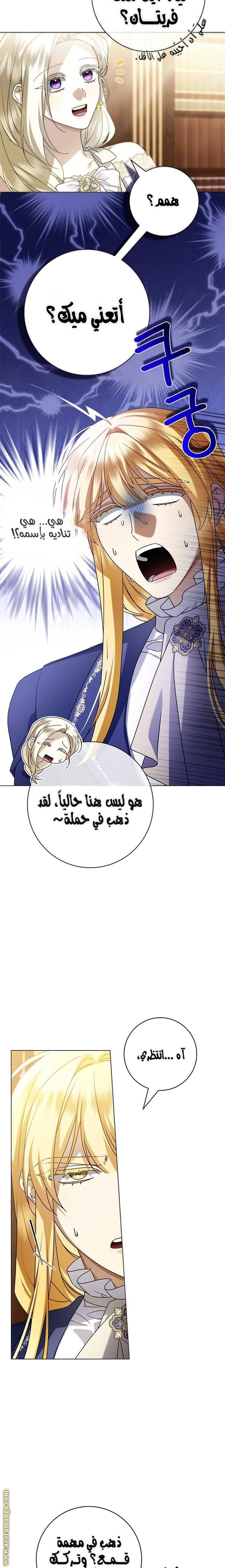 الصفحة 14