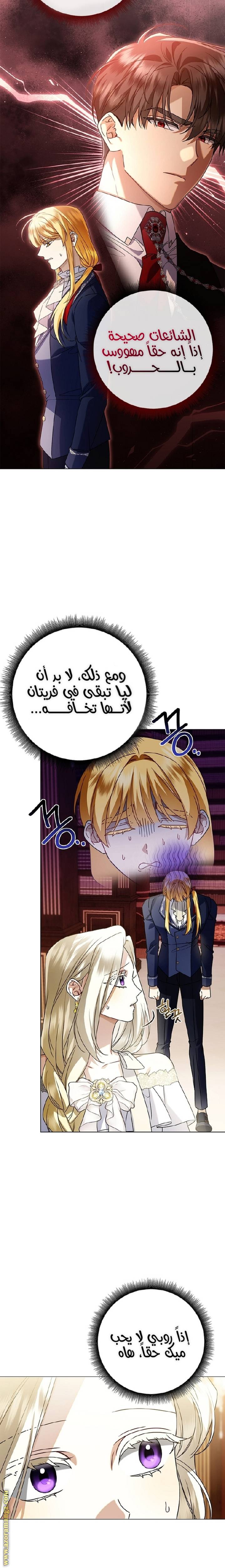 الصفحة 16