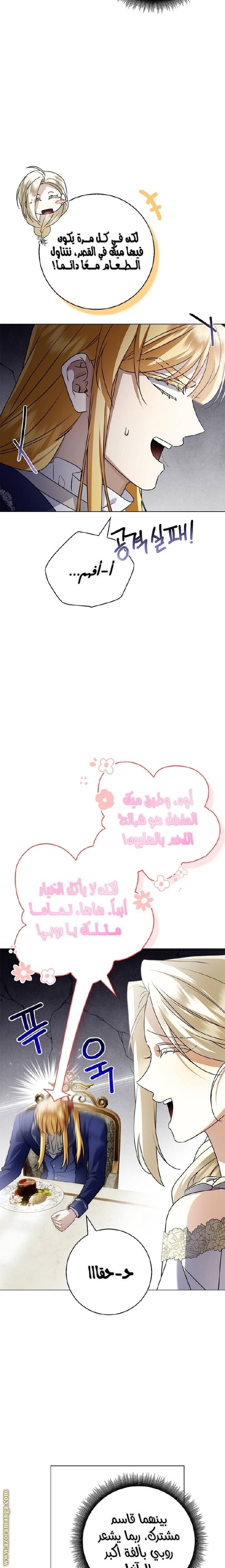 الصفحة 19