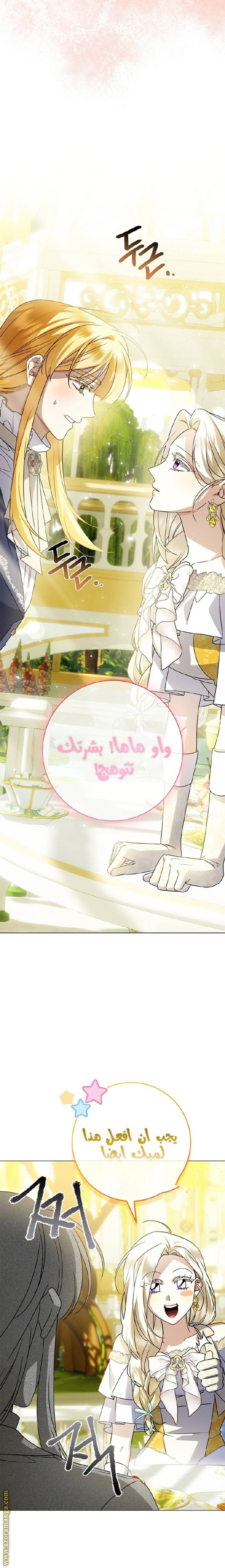 الصفحة 24